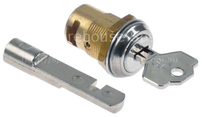 Key cylinder straight thread M20x1 rotation 90° suitable for AFI