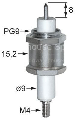 Ignition electrode D1 ø 9mm L1 8mm connection M4 PG9
