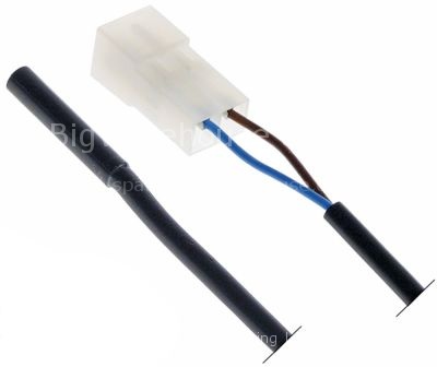 Magnetic switch 250V 0,04A P max. 10W probe L 29mm 1NO connectio