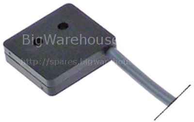 Magnetic switch L 27mm W 25mm 1NO 24V 0,4A P max. 9,6W connectio