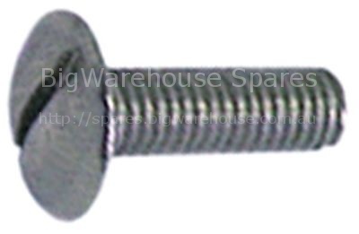 Oval head screw thread M4 L 10mm