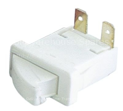 Microswitch with push button 250V 0,25A 1NO connection male fast