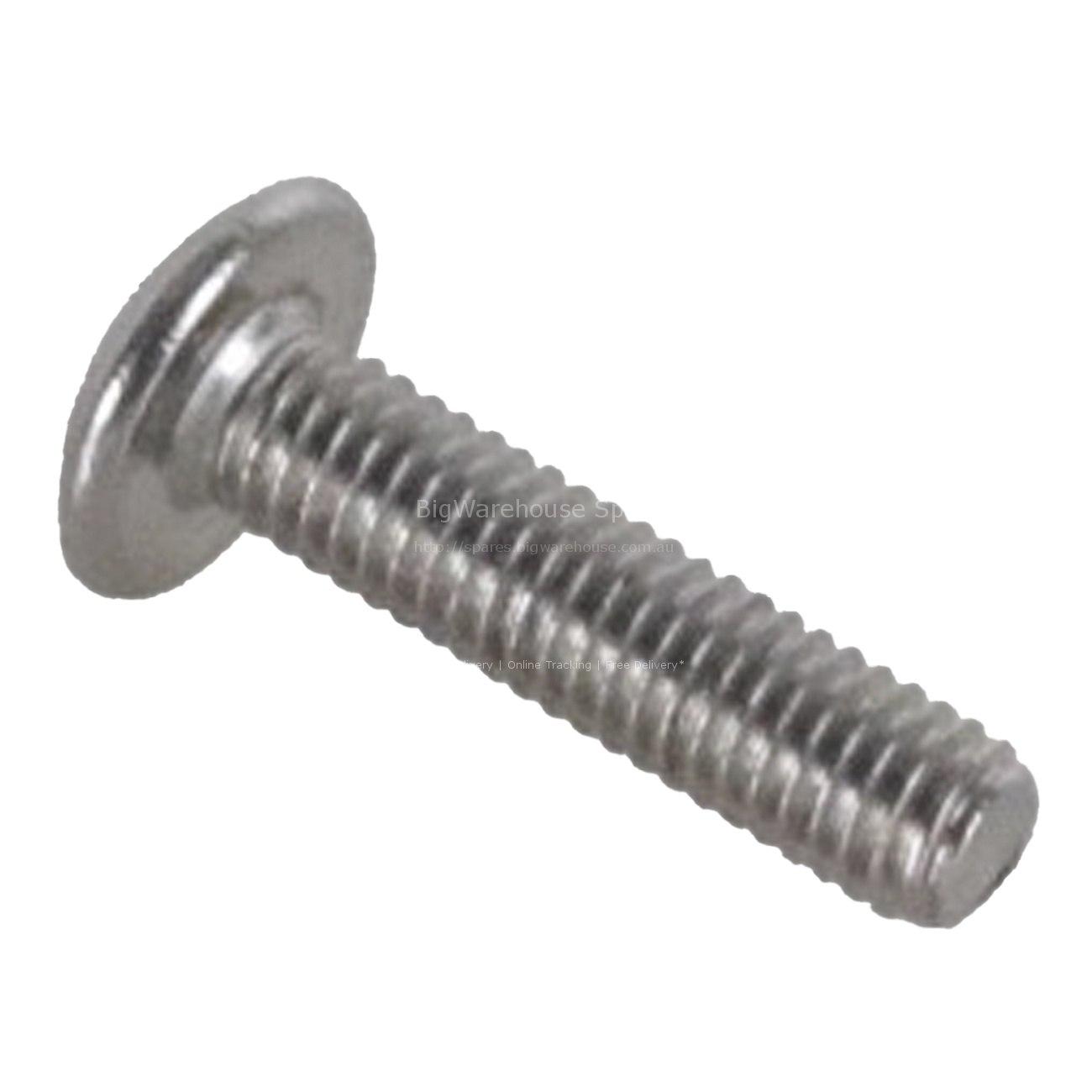 SCREW PIVOT M6 X 25MM B/E SIG