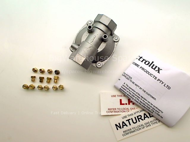 GAS CONVERSION KIT LP OR NG