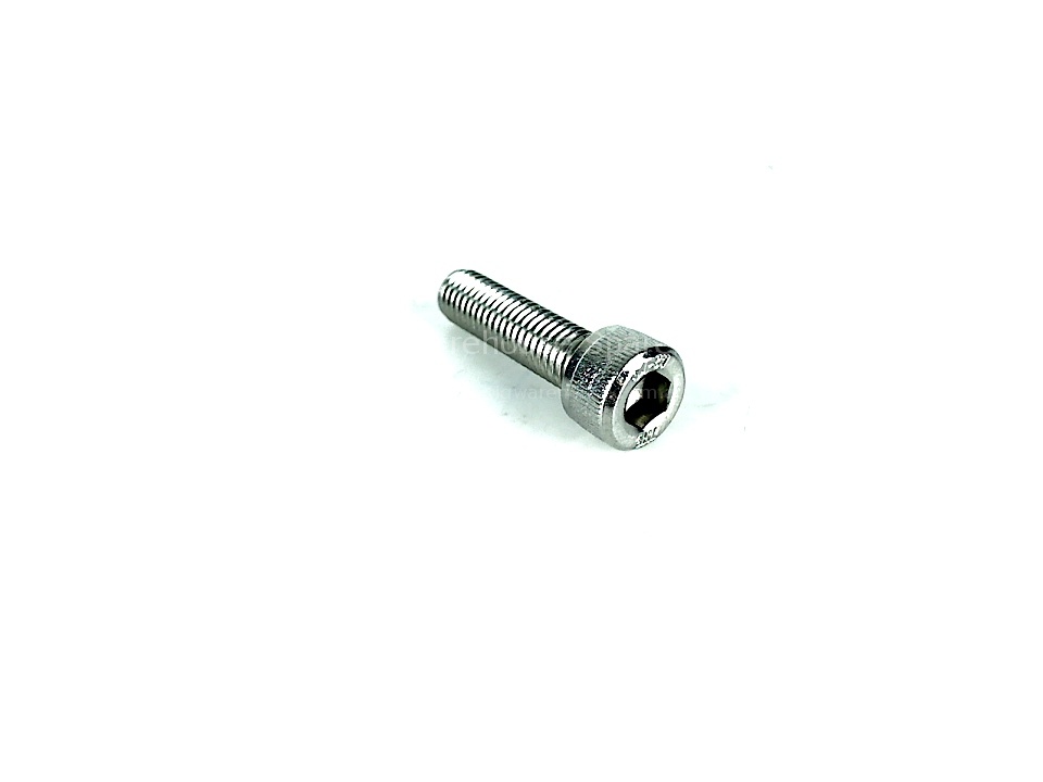 SCREW, M8 X 30 MM, SKT S.S. (6 MM HEAD)