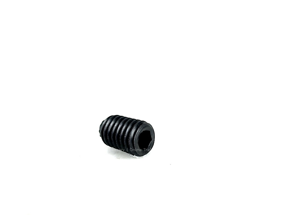 SCREW, GRUB, M6 X 10 MM, SKT