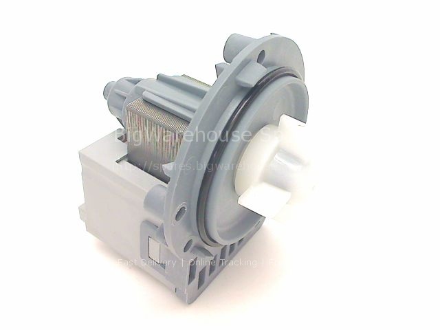 DRAIN PUMP MOTOR