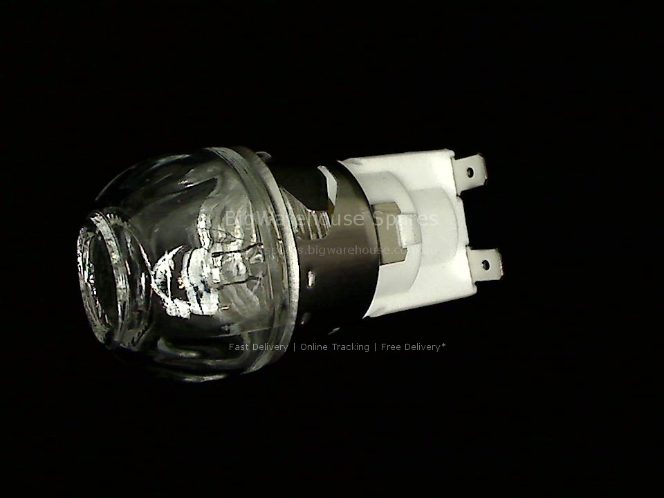 Lamp Assembly