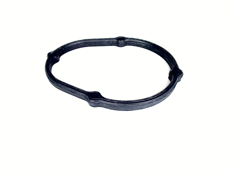 DRAIN WELL GASKET LS08