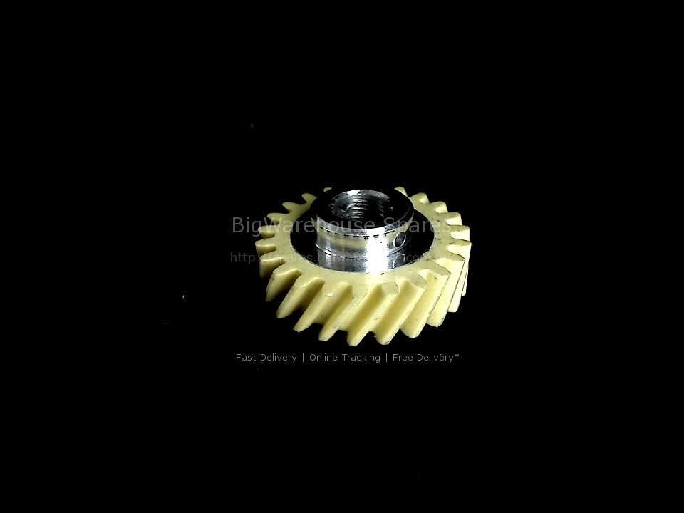 Gear Worm