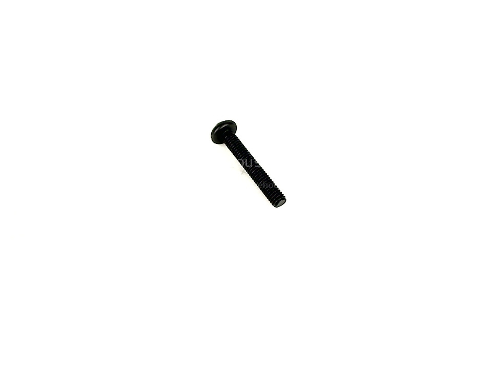 SCREW M4 X 25 PAN MTS PHIL BLK