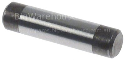 Pin ø 6mm L 24mm motor shaft vegetable slicers suitable for ROBO