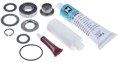 Repair kit for bearing
