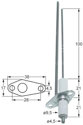 Ignition electrode flange length 38mm flange width 17mm D1 ø 9,5