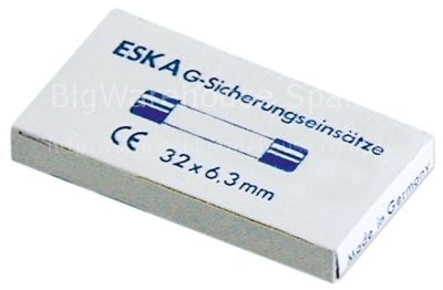 Fine fuse size ø6.3x32mm 6,3A fast-acting rated 500V Qty 10 pcs