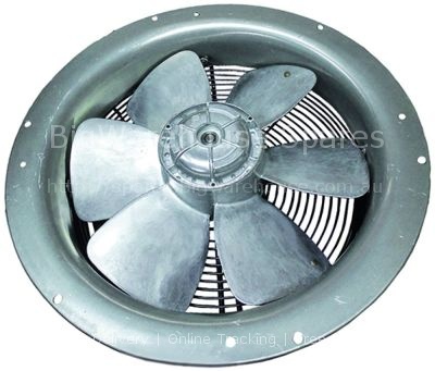 Fan