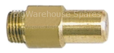 Gas injector thread M10x1 WS 11 bore ø 1,6mm inner peaked