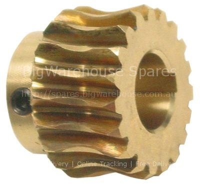 Gear wheel ø 34mm shaft intake ø 15mm teeth 19 tooth width 19mm