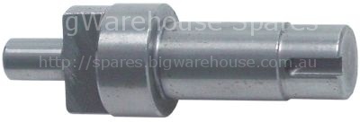 Drive shaft model 12-22 ø 17mm L 78mm D1 ø 25mm shaft diameter 1