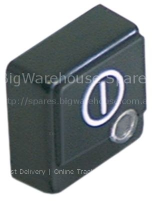 Push button size 23x23mm black main switch with lens