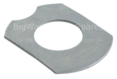 Throttle disc