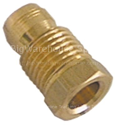 Locking screw M10x1 for pipe  6mm Qty 1 pcs