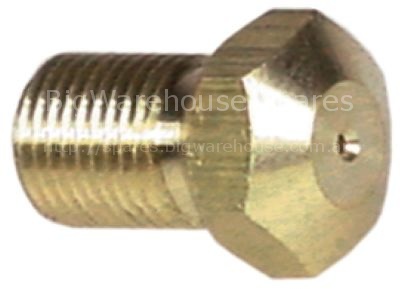 Gas injector thread M10x1 WS 13 bore ø 2,25mm