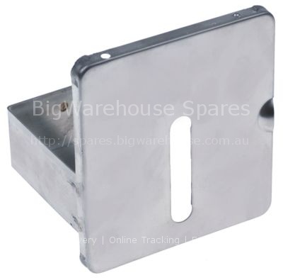 Door for rinse aid container W 120mm H 110mm thickness 8mm