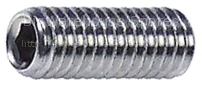Grub screw thread M6 L 16mm SS DIN 913/ISO 4026 intake internal