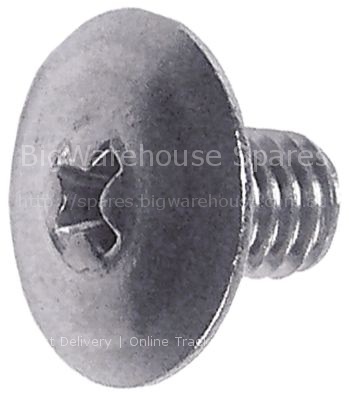 Side bolts thread M6 L 10mm SS Qty 20 pcs intake Phillips head ø