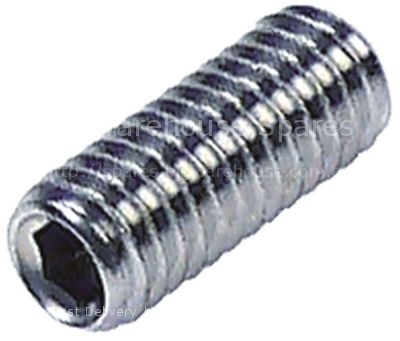 Grub screw thread M6 L 15mm SS DIN 916/ISO 4029 intake internal