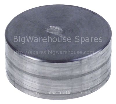 Lid for steam pipe