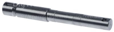 Spindle D1 ø 16,5mm warewashing ø 20mm L 165mm D2 ø 20mm FAGOR