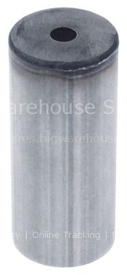 Atomizer for combi-steamer L 97mm ø 43mm hole ø 10mm