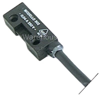 Magnetic switch L 36mm W 13mm 1NO 250V 0,04A P max. 10W connecti