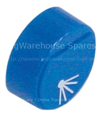 Push button ø 23mm blue rinsing
