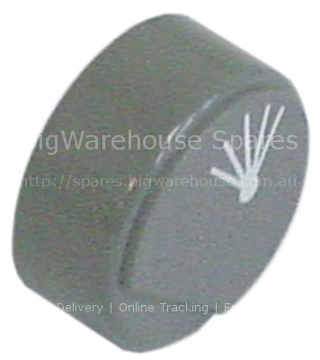 Push button ø 23mm grey rinsing