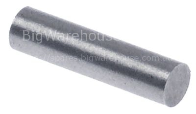 Magnet ø 5mm L 20mm