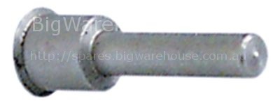 Hinge pin hinge pin