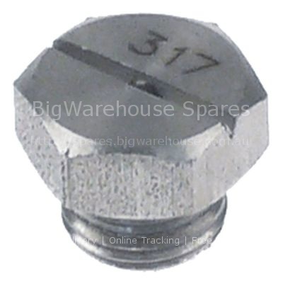 Rinse jet H 11mm thread 1/8" WS 13 code 317