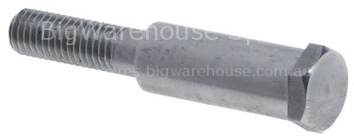 Pin ED ø 12mm L 61mm thread M8x1.25 for dishwasher
