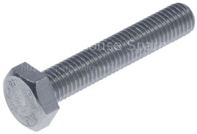 Hexagonal screw thread M10 thread L 55mm SS WS 17 Qty 1 pcs head
