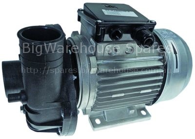 Pump ZF800 60Hz