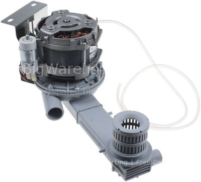 Pump outlet ø 38mm type C600 230V 50Hz 1 phase 0,8kW L 220mm rot