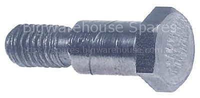 Shaft for roller