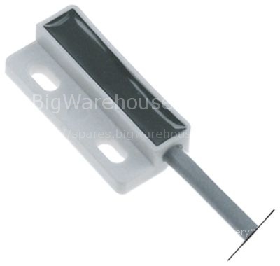 Magnetic switch L 32mm W 15mm 1NO 250V 0,5A P max. 50W connectio
