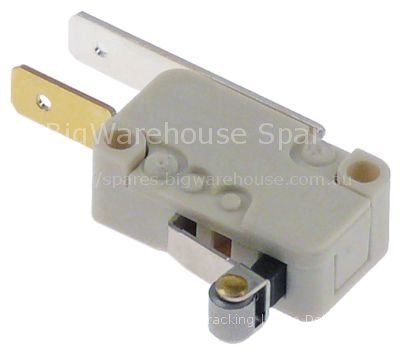 Microswitch with handle with a switch 250V 0,1A 1NC connection m
