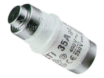 Fuse size D02 35A rated 250/400V E18 ø 15mm L 36mm Qty 10 pcs