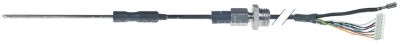 Core temperature probe thermocouple K (NiCr-Ni) cable PTFE probe