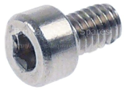 Cylinder head bolt thread M4 thread L 6mm L 9,5mm WS 3 SS Qty 1